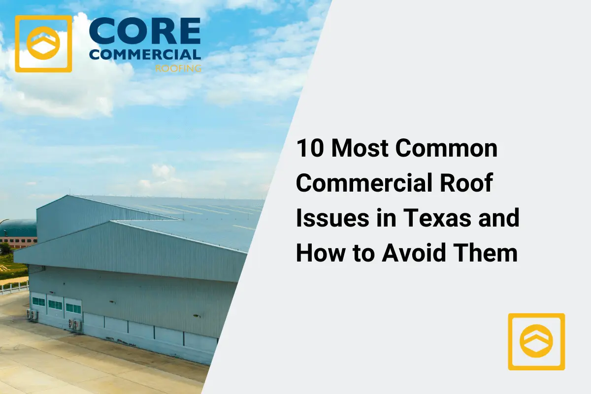 Common Commercial Roof Issues