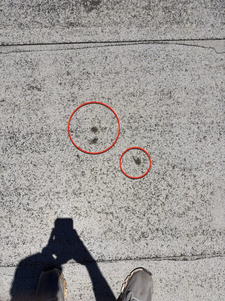 Red circles highlighting hail damage and minor punctures on a modified bitumen roof membrane
